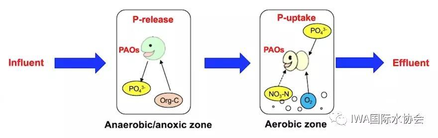 2023-10-31T08:58:53.png 2023-10-31T08:58:53.png