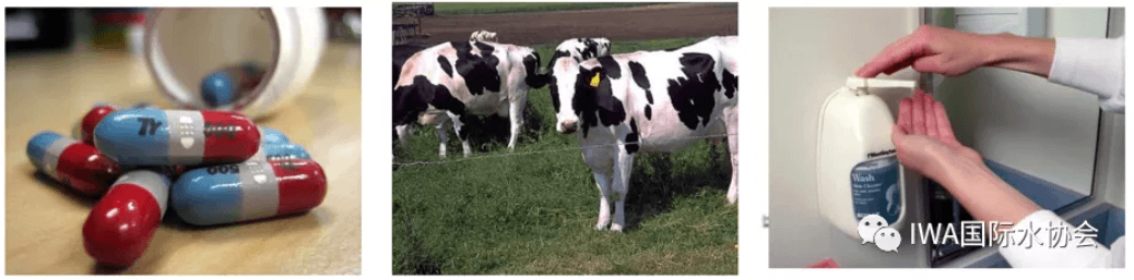 2023-10-31T06:57:09.png 2023-10-31T06:57:09.png