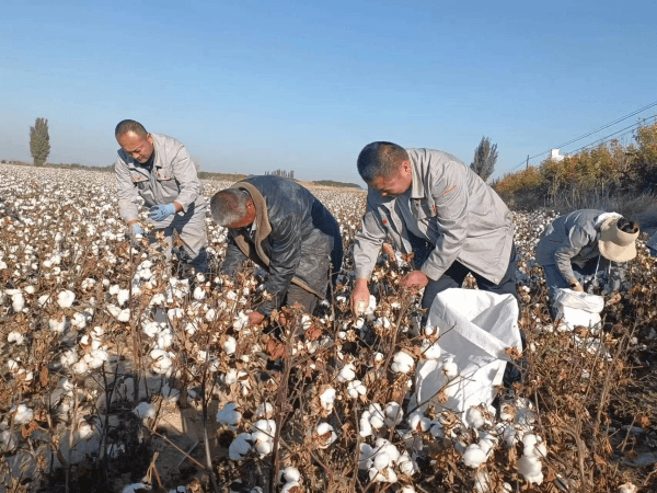 2023-11-10T02:30:12.png 2023-11-10T02:30:12.png