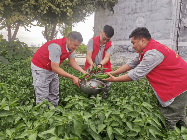 2023-11-17T09:50:38.png 2023-11-17T09:50:38.png