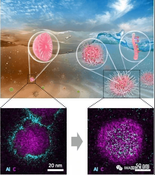 2023-11-02T09:07:14.png 2023-11-02T09:07:14.png