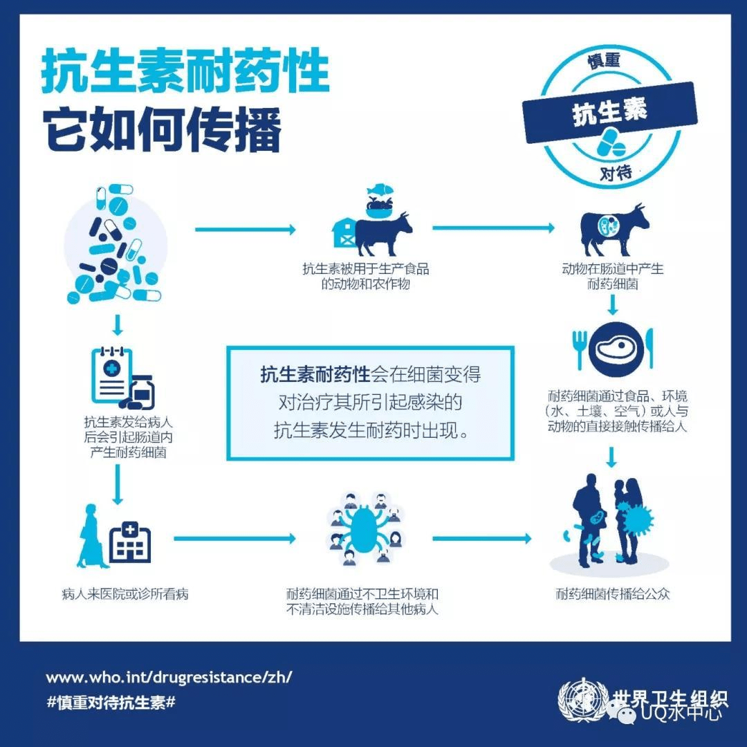 2023-11-01T07:48:33.png 2023-11-01T07:48:33.png