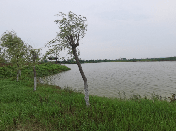 2023-11-20T03:20:57.png 2023-11-20T03:20:57.png