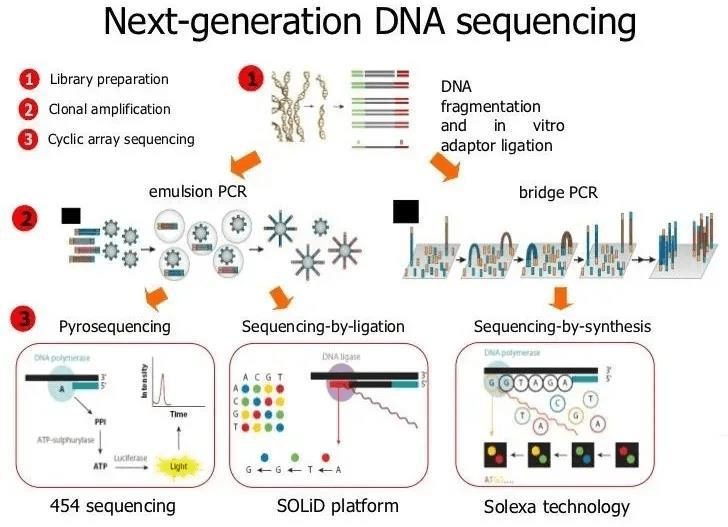 2023-11-01T07:30:17.png 2023-11-01T07:30:17.png