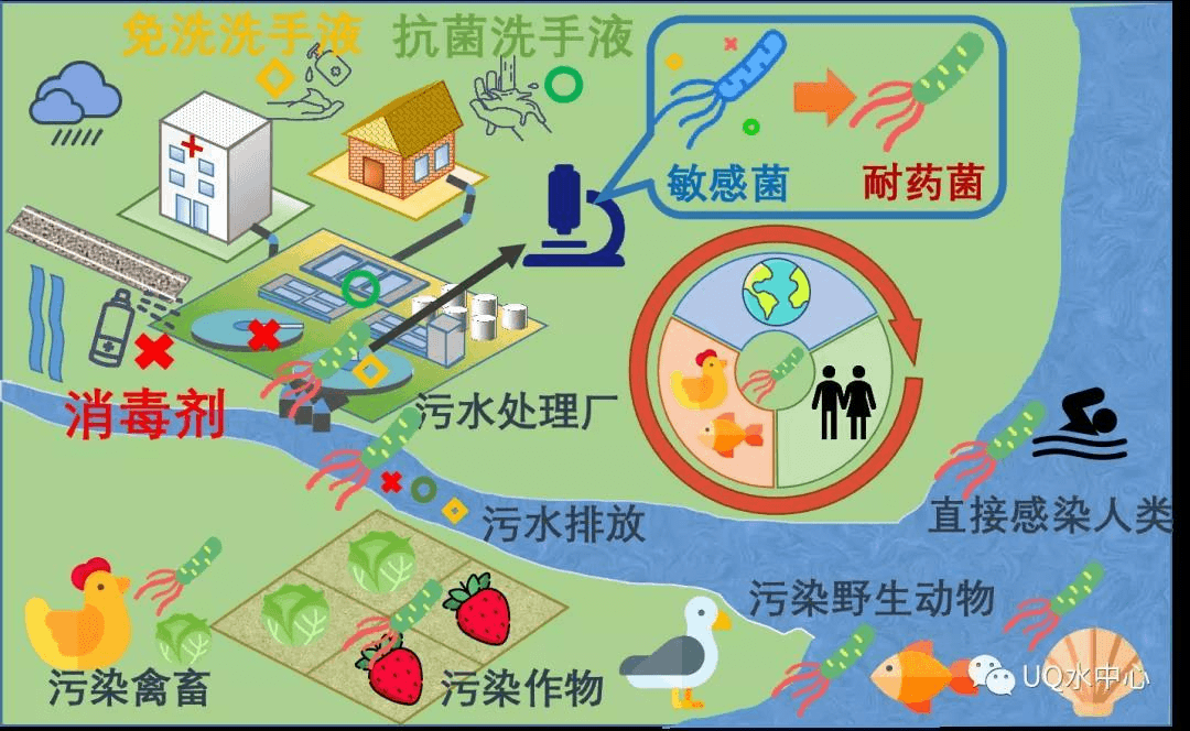 2023-11-01T07:49:40.png 2023-11-01T07:49:40.png