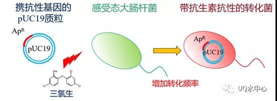 2023-11-01T07:49:32.png 2023-11-01T07:49:32.png