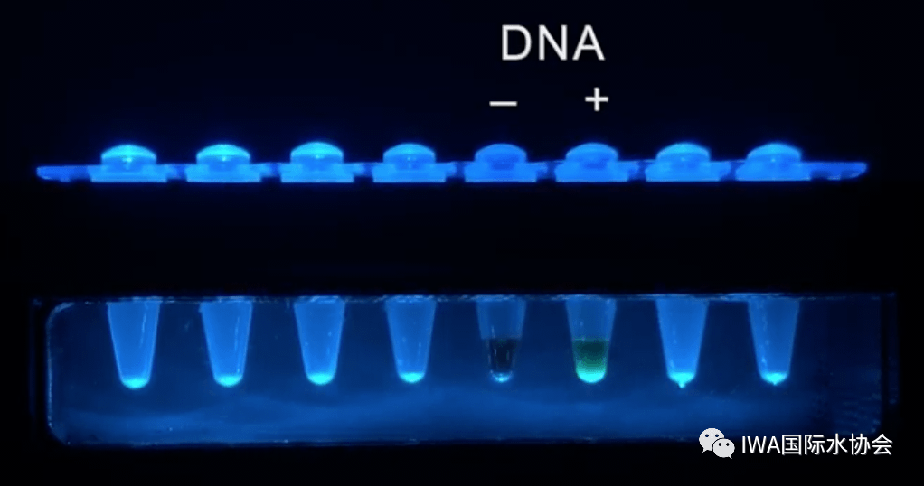 2023-11-01T07:21:33.png 2023-11-01T07:21:33.png