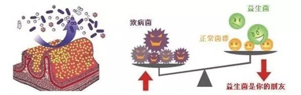 2023-11-02T08:34:41.png 2023-11-02T08:34:41.png