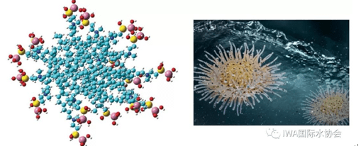 2023-11-02T09:06:47.png 2023-11-02T09:06:47.png