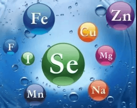 2023-11-02T08:34:48.png 2023-11-02T08:34:48.png