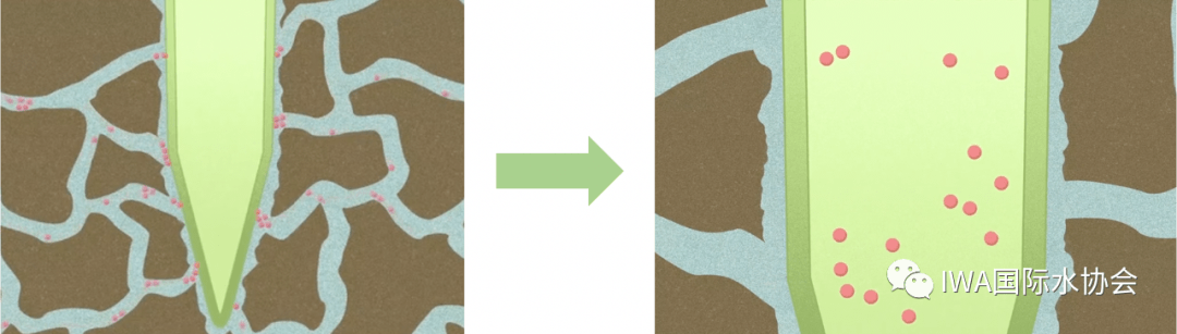 2023-11-01T08:47:19.png 2023-11-01T08:47:19.png