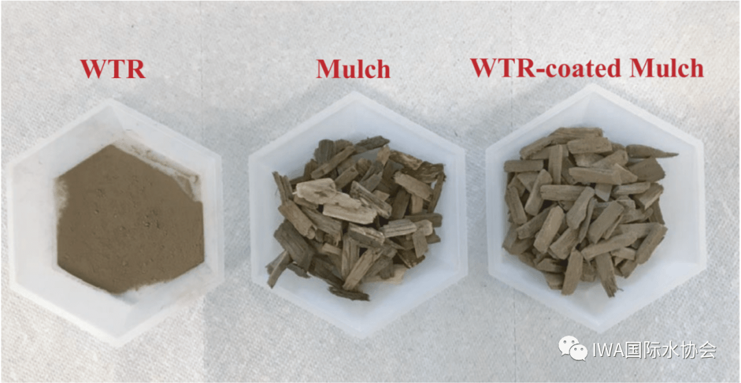 2023-11-01T09:12:30.png 2023-11-01T09:12:30.png