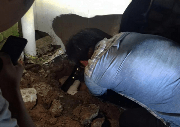 图片 1.png 图片 1.png