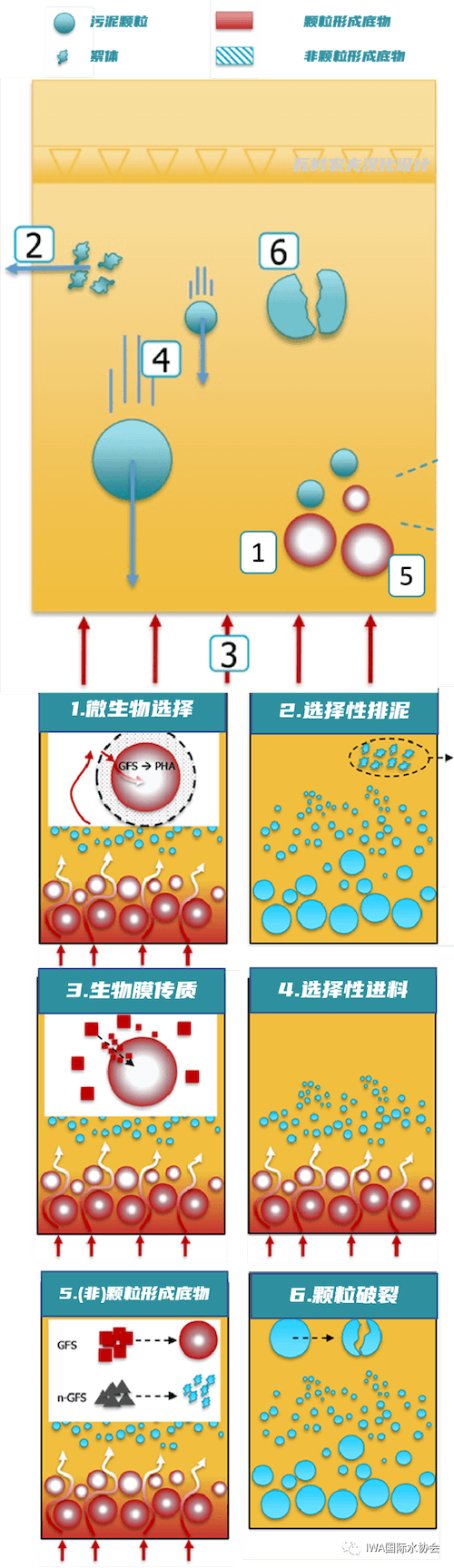 2023-11-02T03:05:46.png 2023-11-02T03:05:46.png