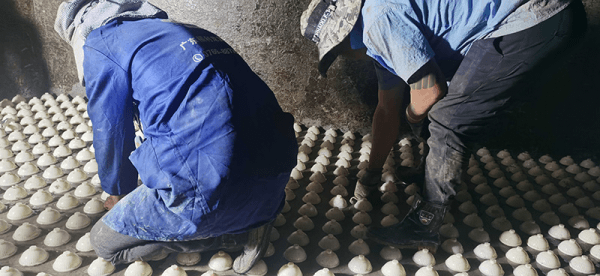 图片 1.png 图片 1.png