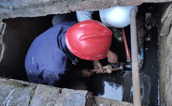 图片 1.png 图片 1.png