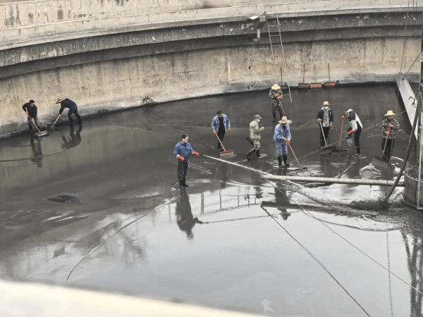 图片 9.png 图片 9.png