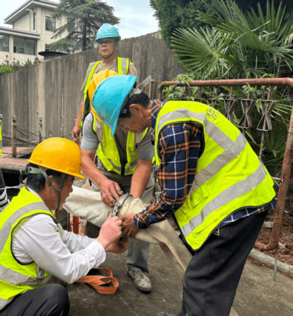 图片 3.png 图片 3.png