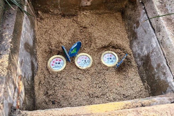 图片 2.jpg 图片 2.jpg