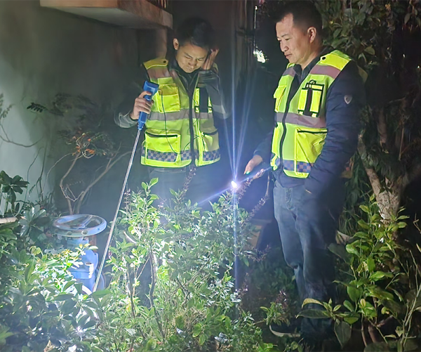 图片 1.png 图片 1.png