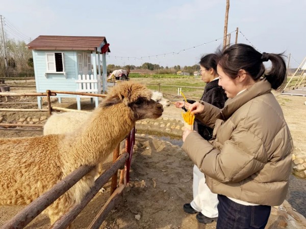 图片 4.jpg 图片 4.jpg